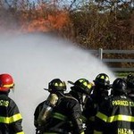 Team of fire fighters spraying hose